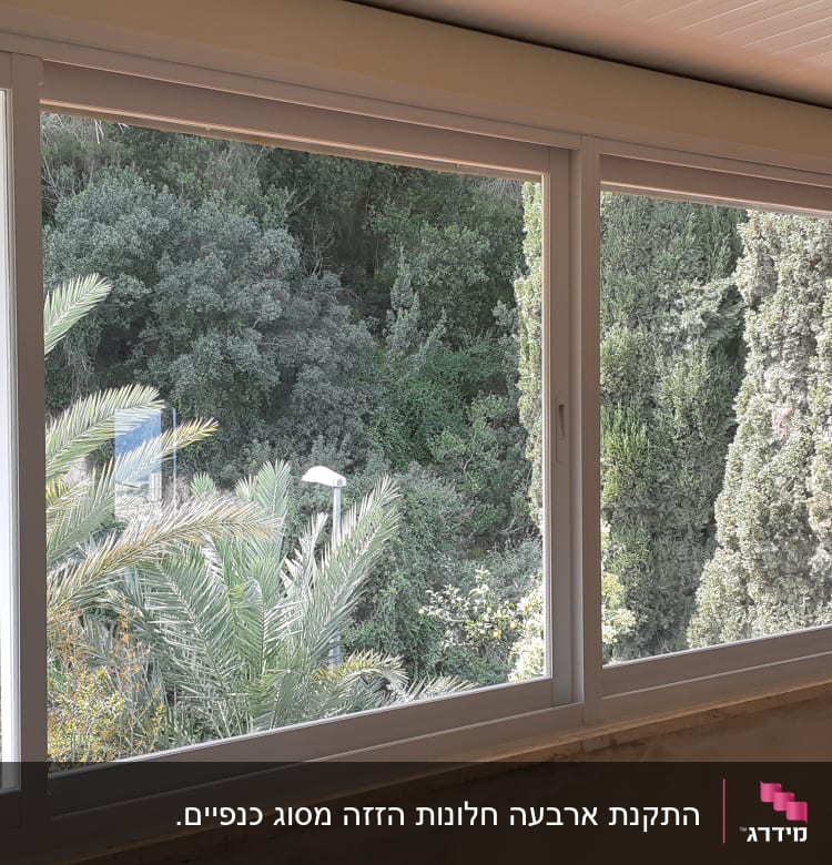 חלונות אלומיניום גדולים עם נוף לעצים ירוקים